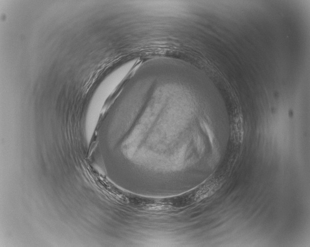 X0000051860504200507151824