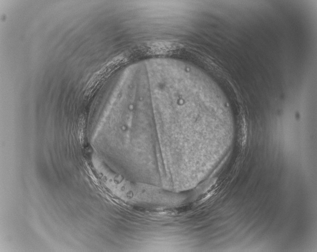 X0000051860505200507151824