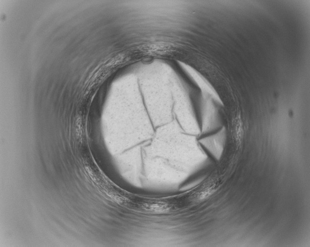 X0000051860506200507151824