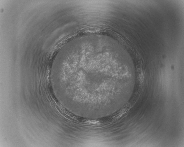 X0000051860507200507151824