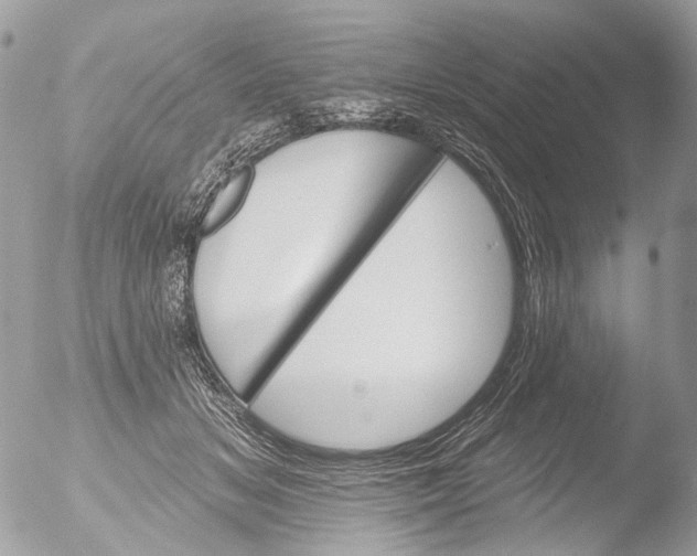 X0000051860509200507151824