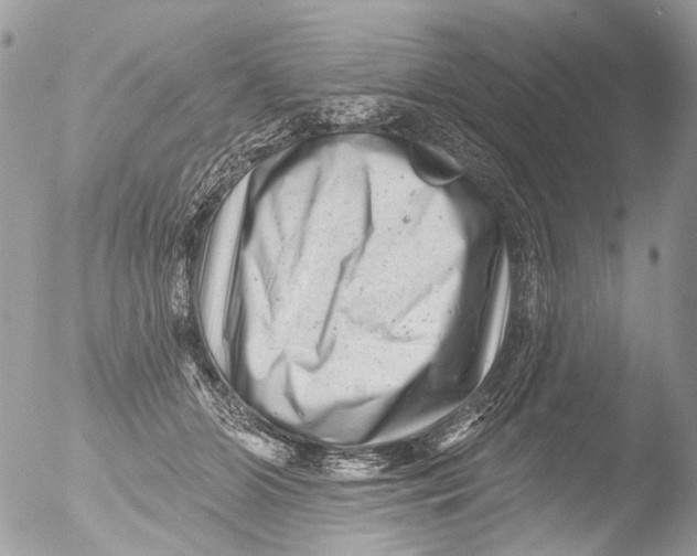 X0000051860510200507151824