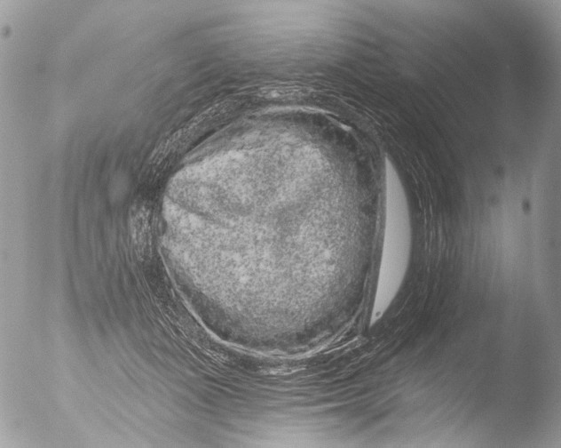 X0000051860511200507151824