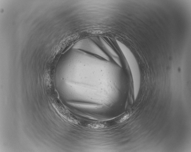 X0000051860512200507151824