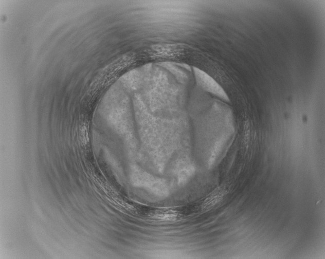 X0000051860514200507151824