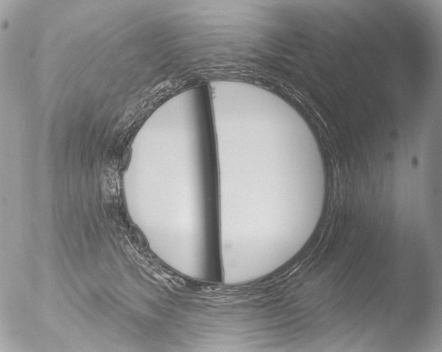 X0000051860517200507151824