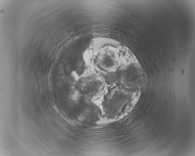 X0000051860519200507151824