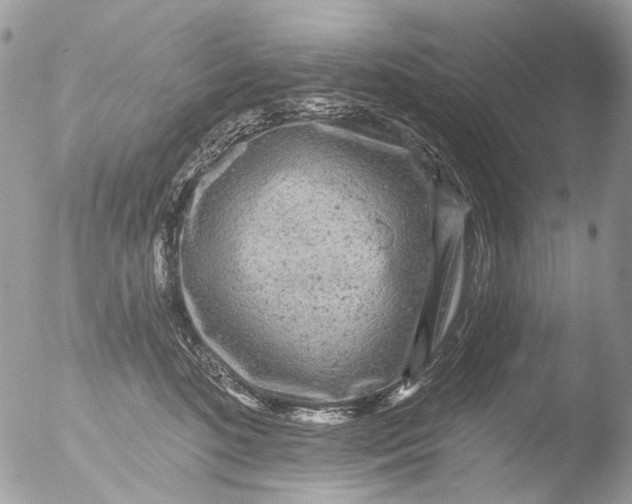 X0000051860520200507151824