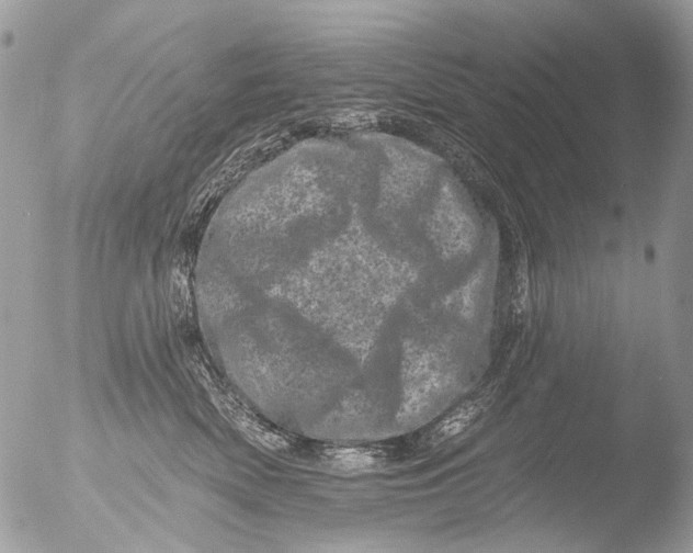 X0000051860522200507151824