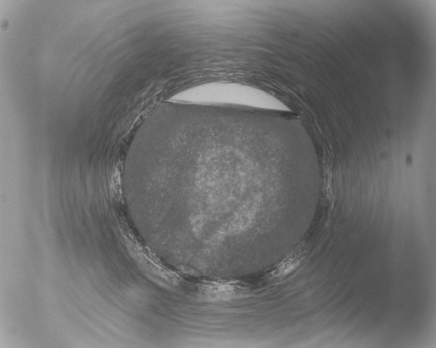 X0000051860523200507151823