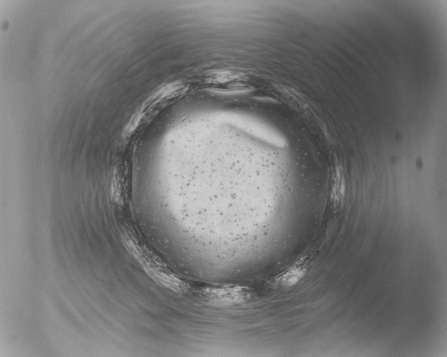 X0000051860524200507151823