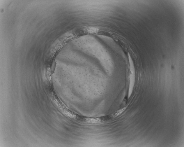 X0000051860525200507151823