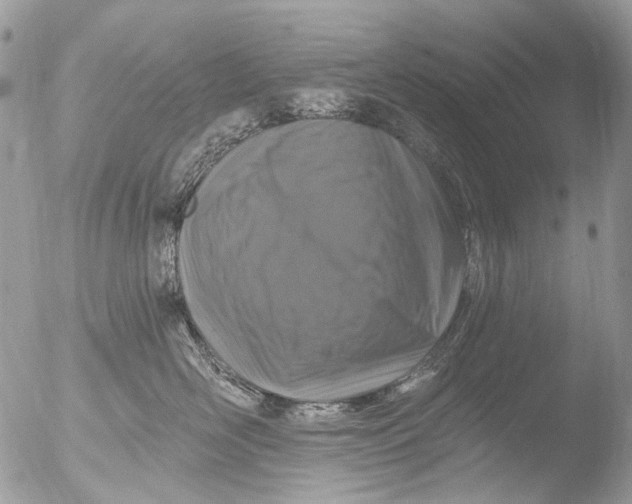 X0000051860526200507151823