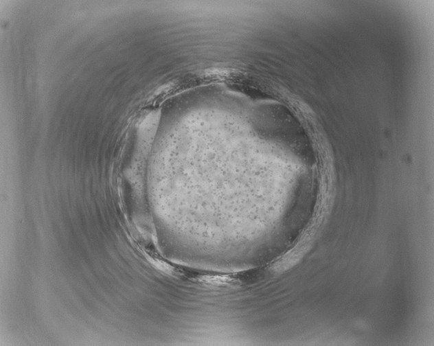 X0000051860528200507151823