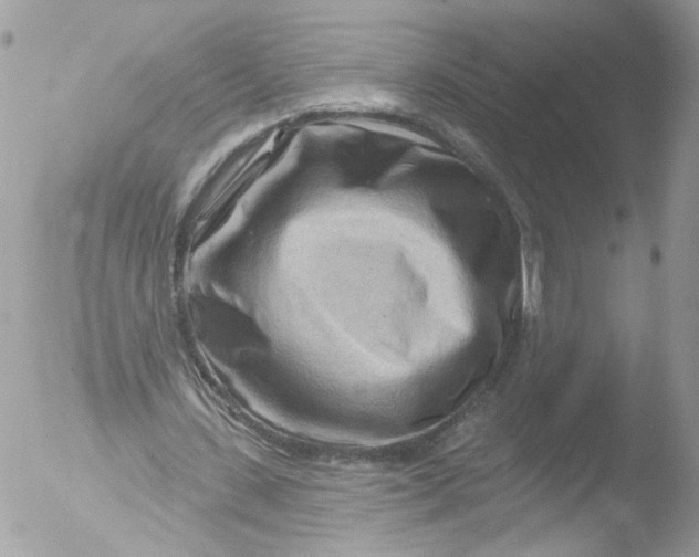 X0000051860531200507151823