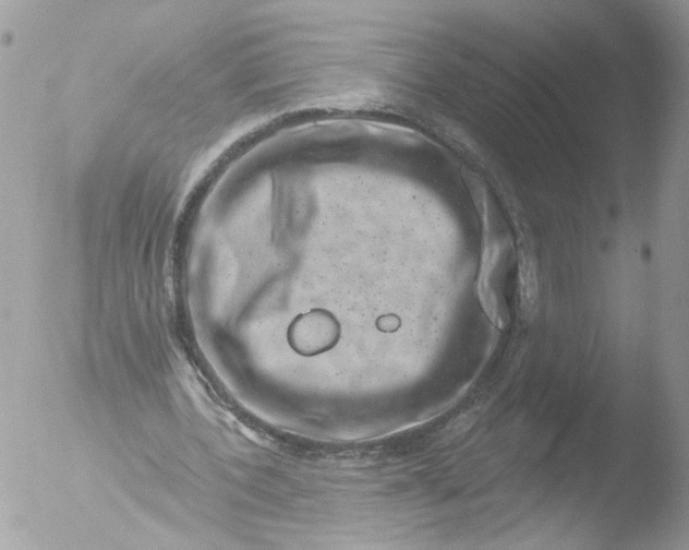 X0000051860532200507151823