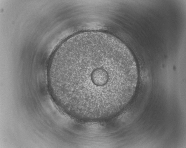 X0000051860534200507151823