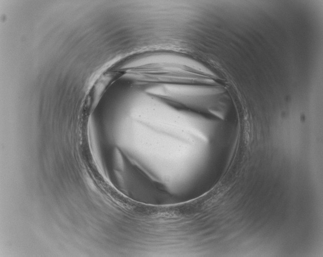 X0000051860536200507151823