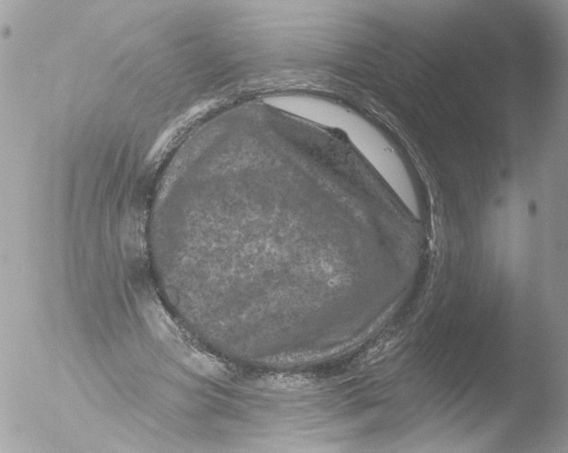 X0000051860537200507151823