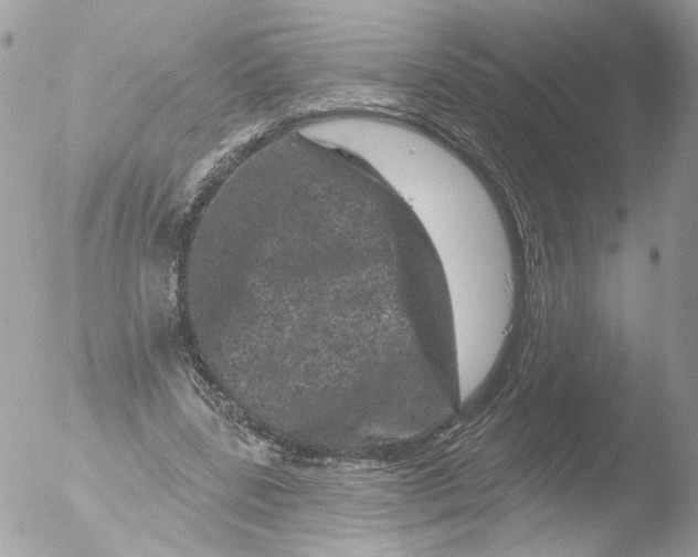 X0000051860539200507151823