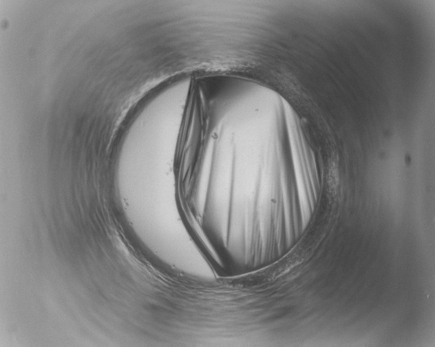 X0000051860540200507151823