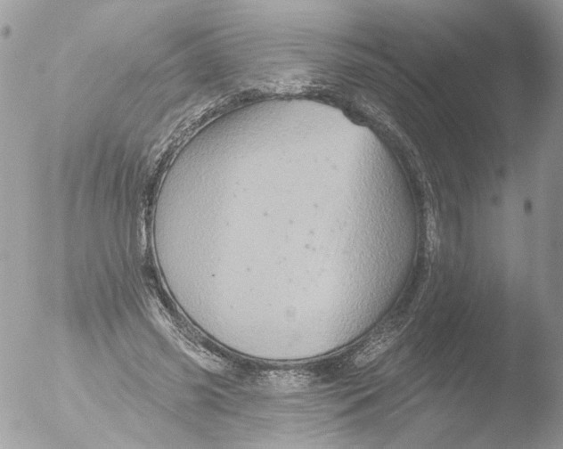 X0000051860541200507151823