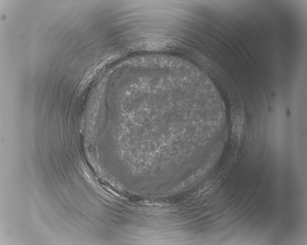 X0000051860542200507151823