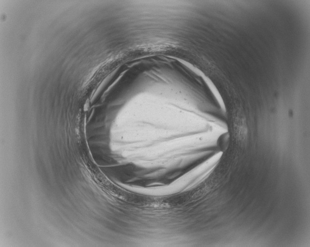 X0000051860543200507151823