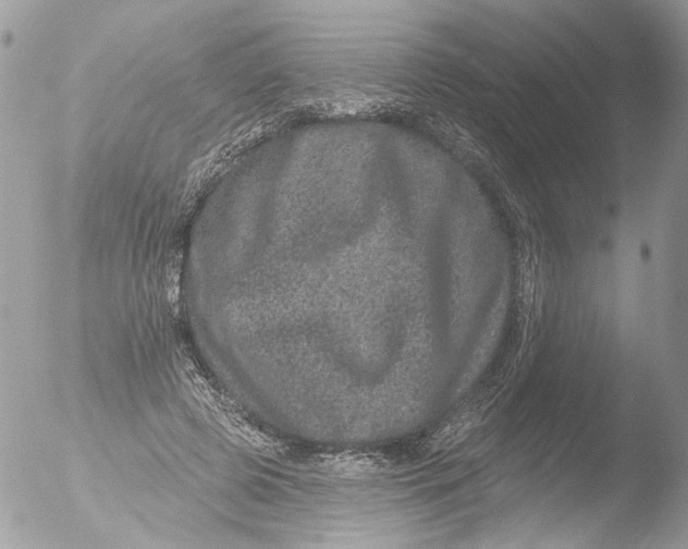 X0000051860545200507151823