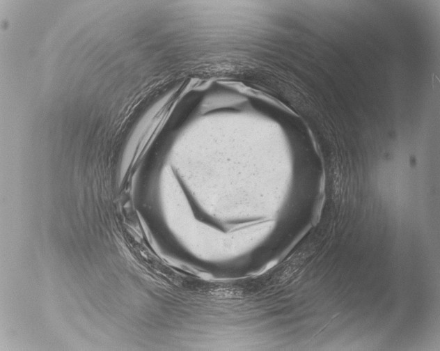 X0000051860546200507151823