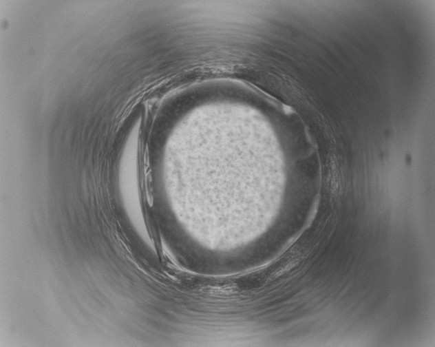 X0000051860548200507151823