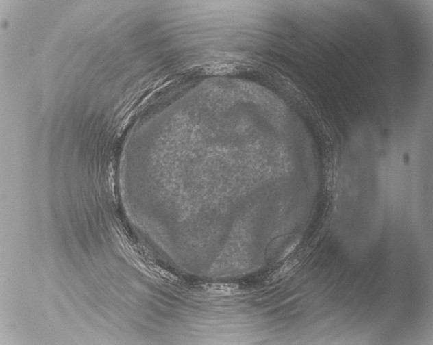 X0000051860549200507151823