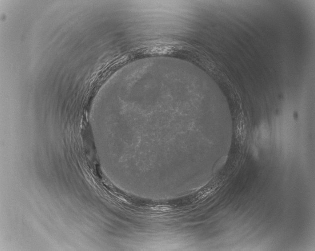 X0000051860551200507151823