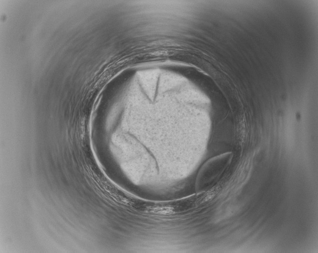 X0000051860554200507151823