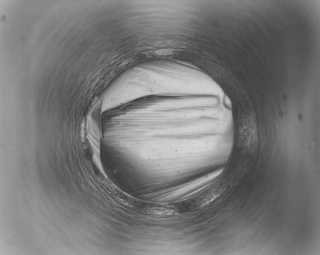 X0000051860555200507151823