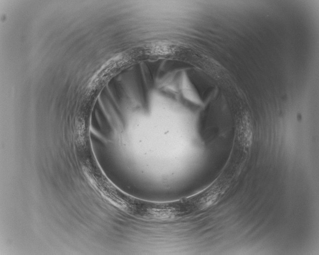 X0000051860556200507151823