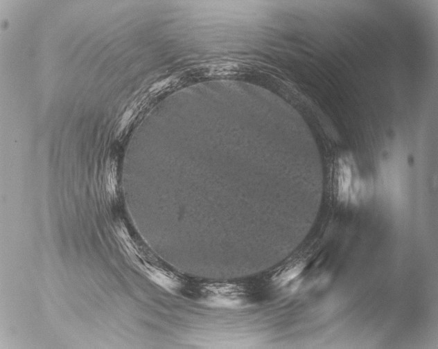 X0000051860557200507151823