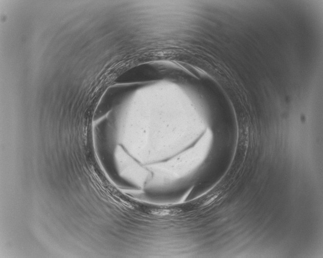 X0000051860558200507151823