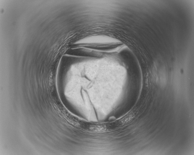 X0000051860559200507151823