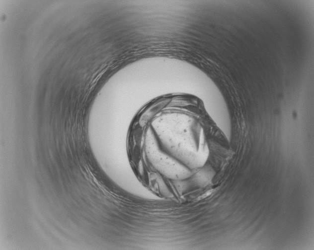 X0000051860560200507151823