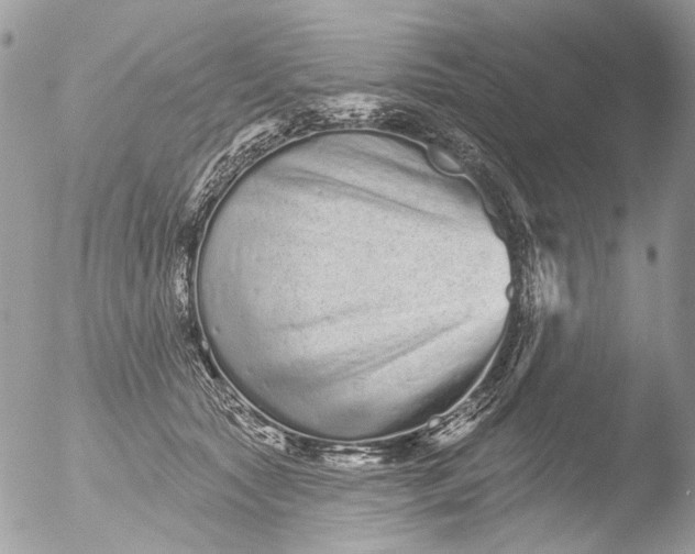 X0000051860561200507151823