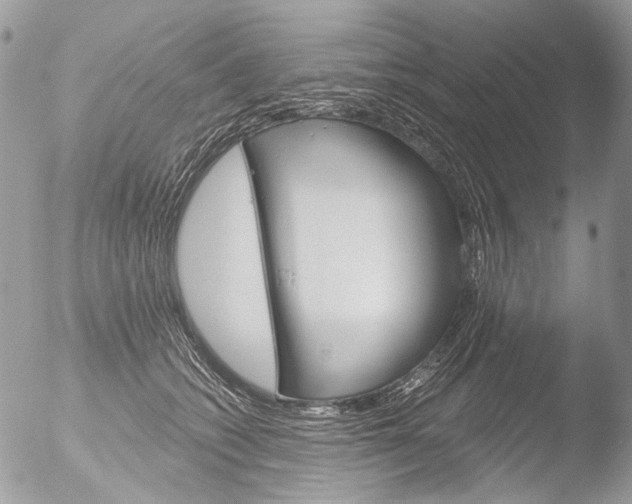 X0000051860562200507151823