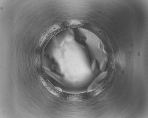 X0000051860563200507151823