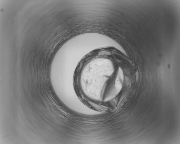 X0000051860564200507151823