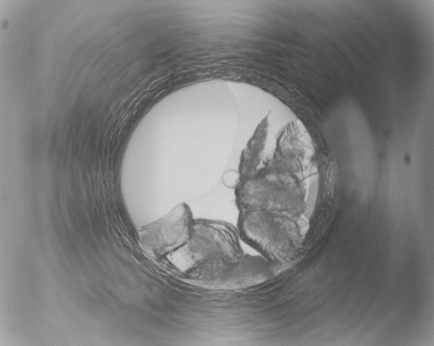 X0000051860565200507151823