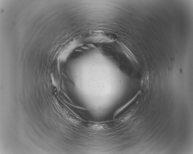 X0000051860566200507151823