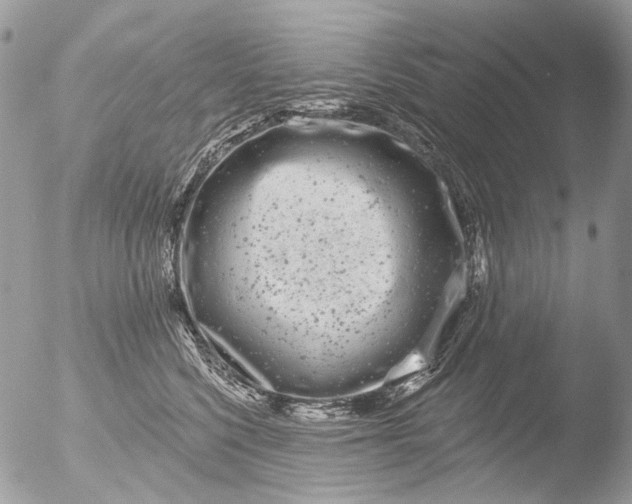 X0000051860568200507151823