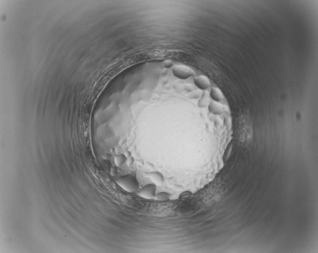 X0000051860569200507151823