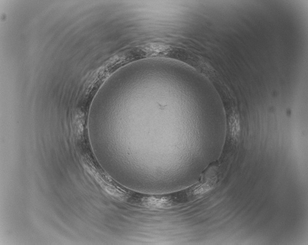 X0000051860570200507151823