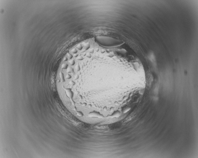 X0000051860573200507151823